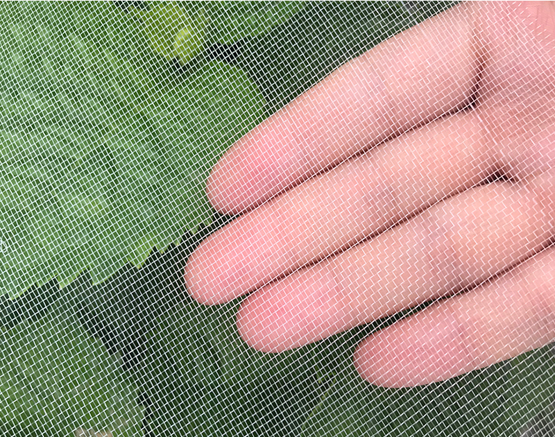 40目薄網布